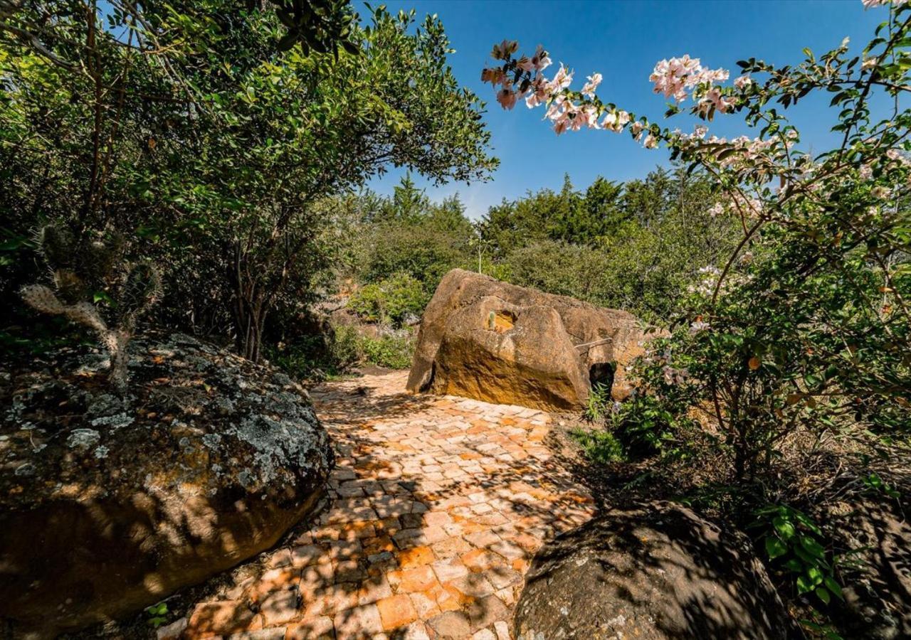 El Hayuelo Ecolodge 비야 데 레이바 외부 사진