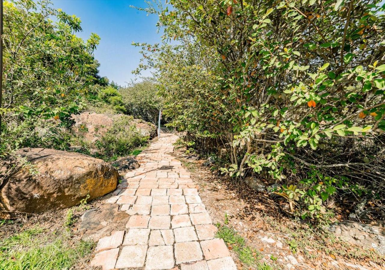 El Hayuelo Ecolodge 비야 데 레이바 외부 사진